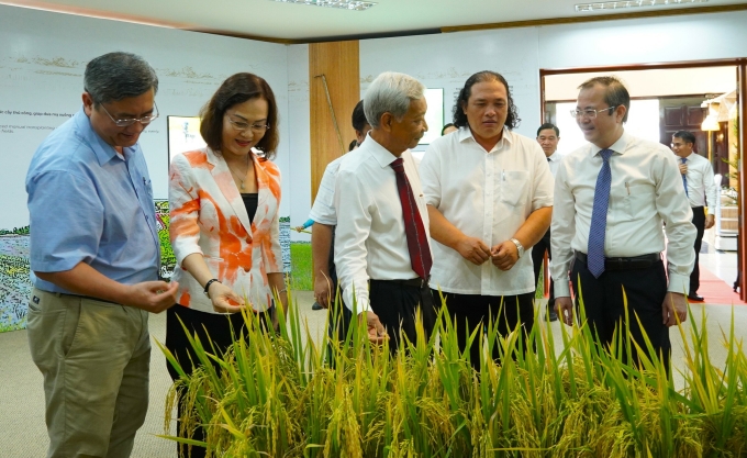 Provincial leaders and former leaders visit the exhibition area at the provincial wet rice museum. Photo: Chuc Ly