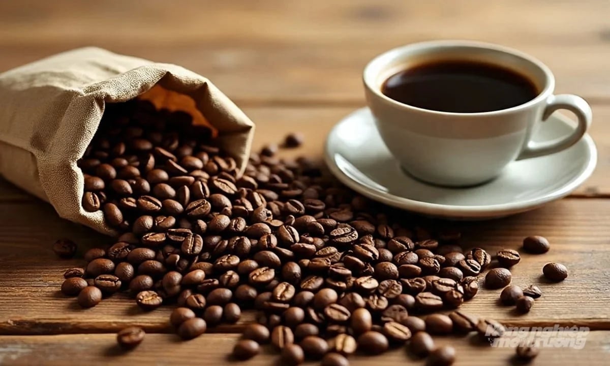 Coffee prices on April 1, 2026: Domestic prices drop sharply Coffee prices on April 1, 2026: Domestic prices drop sharply