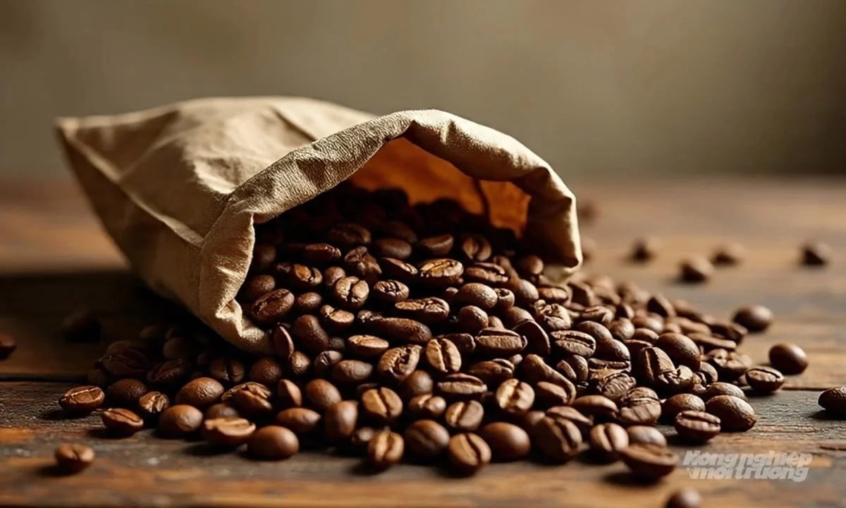 Coffee prices on March 31, 2026: Plunge across trading exchanges