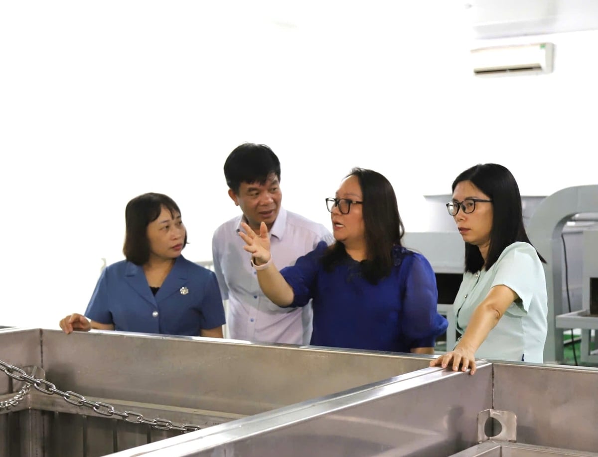 The delegation inspected preparations for the 2026 lychee season at a purchasing and exporting company with a branch in Thanh Ha Commune. Photo: Hoang Phong.