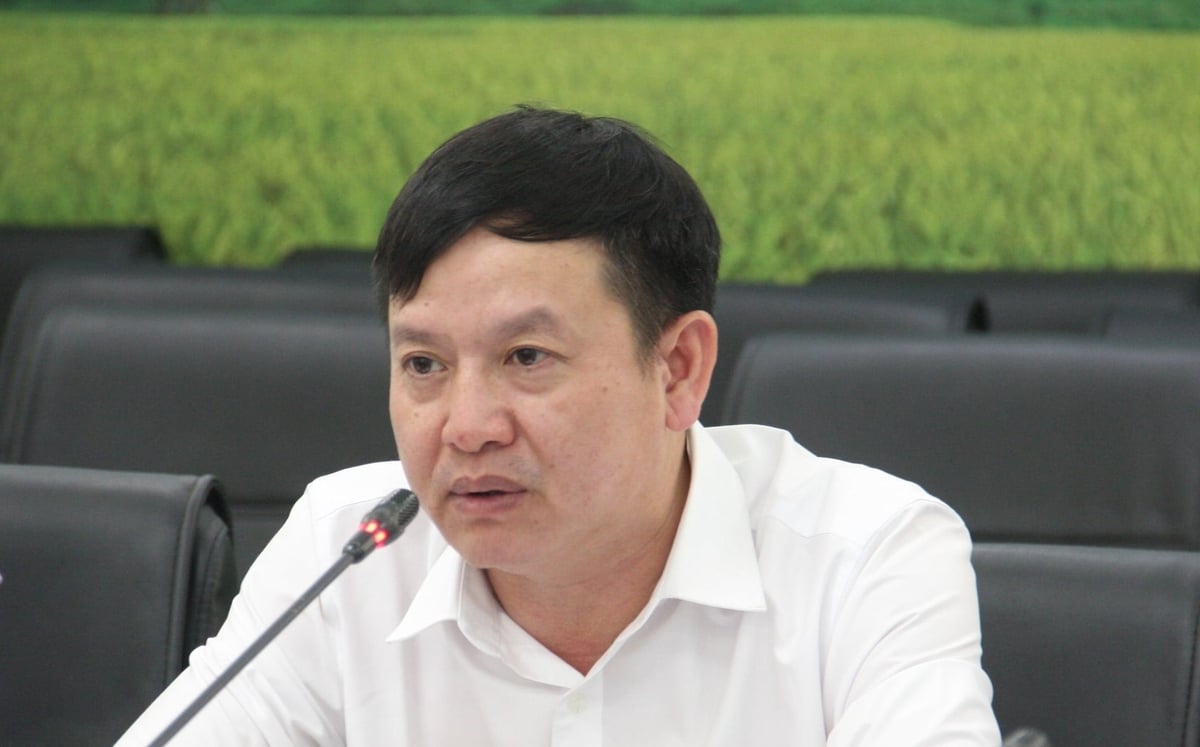 Mr. Huynh Tan Dat, Director General of the Plant Production and Protection Department, emphasized the role and responsibility of the business community in stabilizing the market. Photo: Mai Dan.