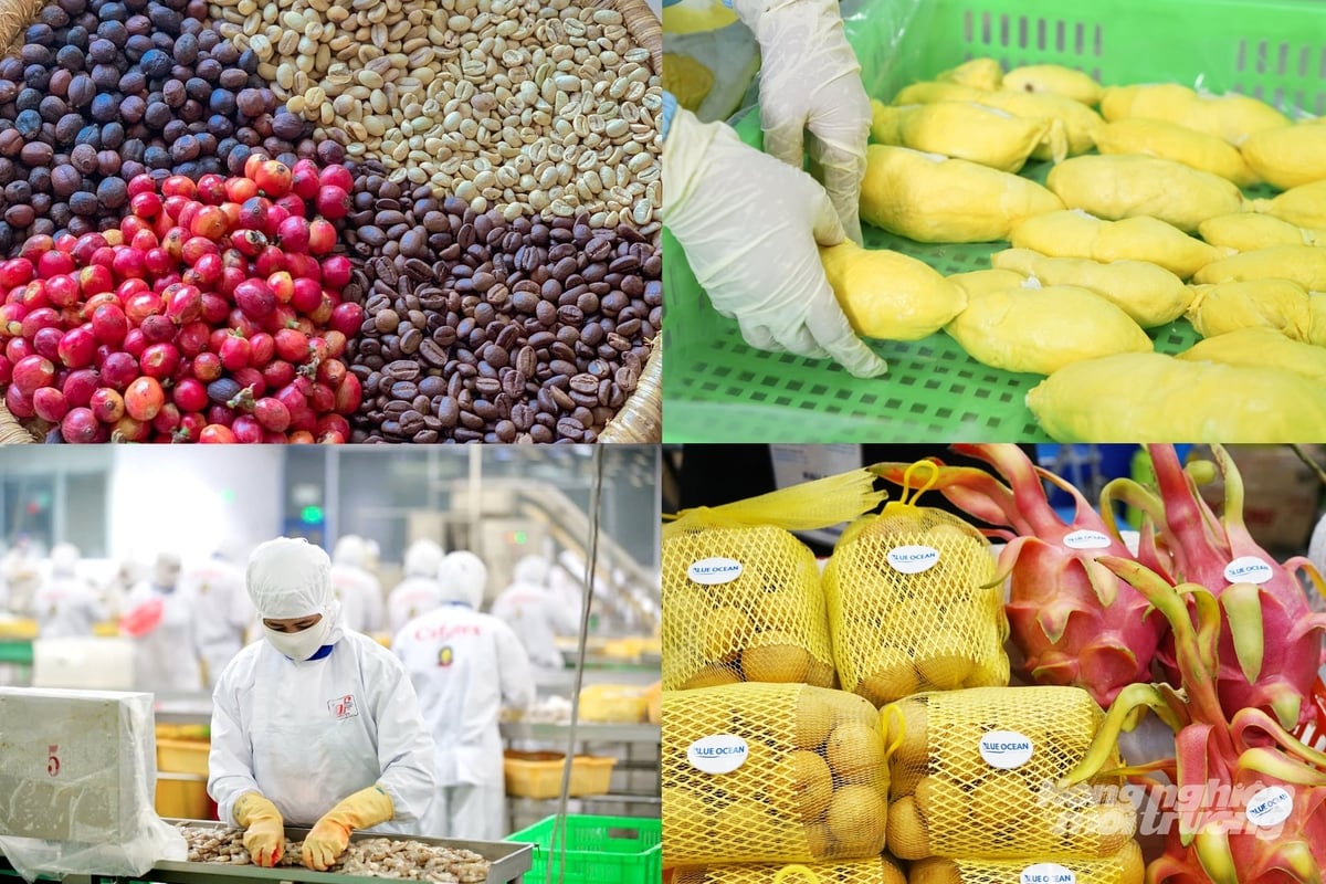 The Ministry of Agriculture and Environment sets a target for 2026 that export turnover of agriculture, forestry and fisheries will reach approximately USD 73–74 billion. Photo: Nguyen Thuy.