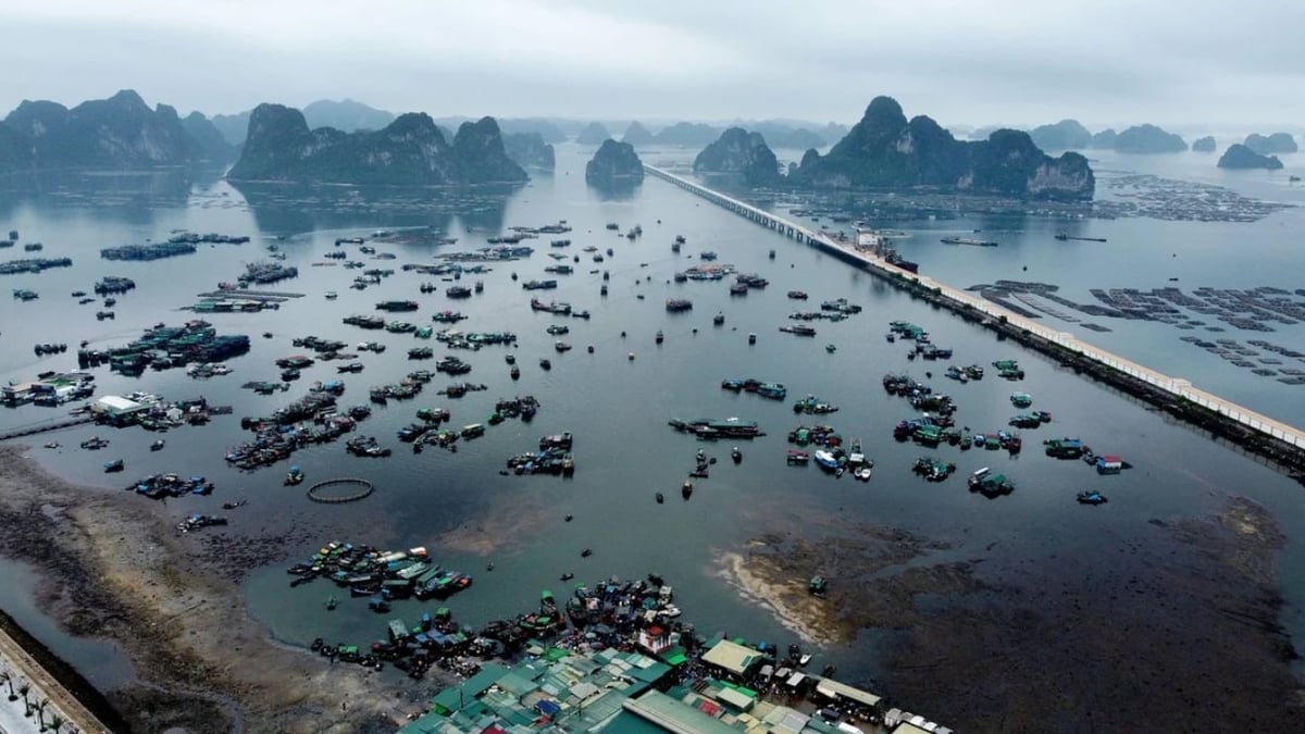 The seafood sector is a key pillar of Viet Nam’s marine economy. Photo: Hong Tham. The seafood sector is a key pillar of Viet Nam’s marine economy. Photo: Hong Tham.