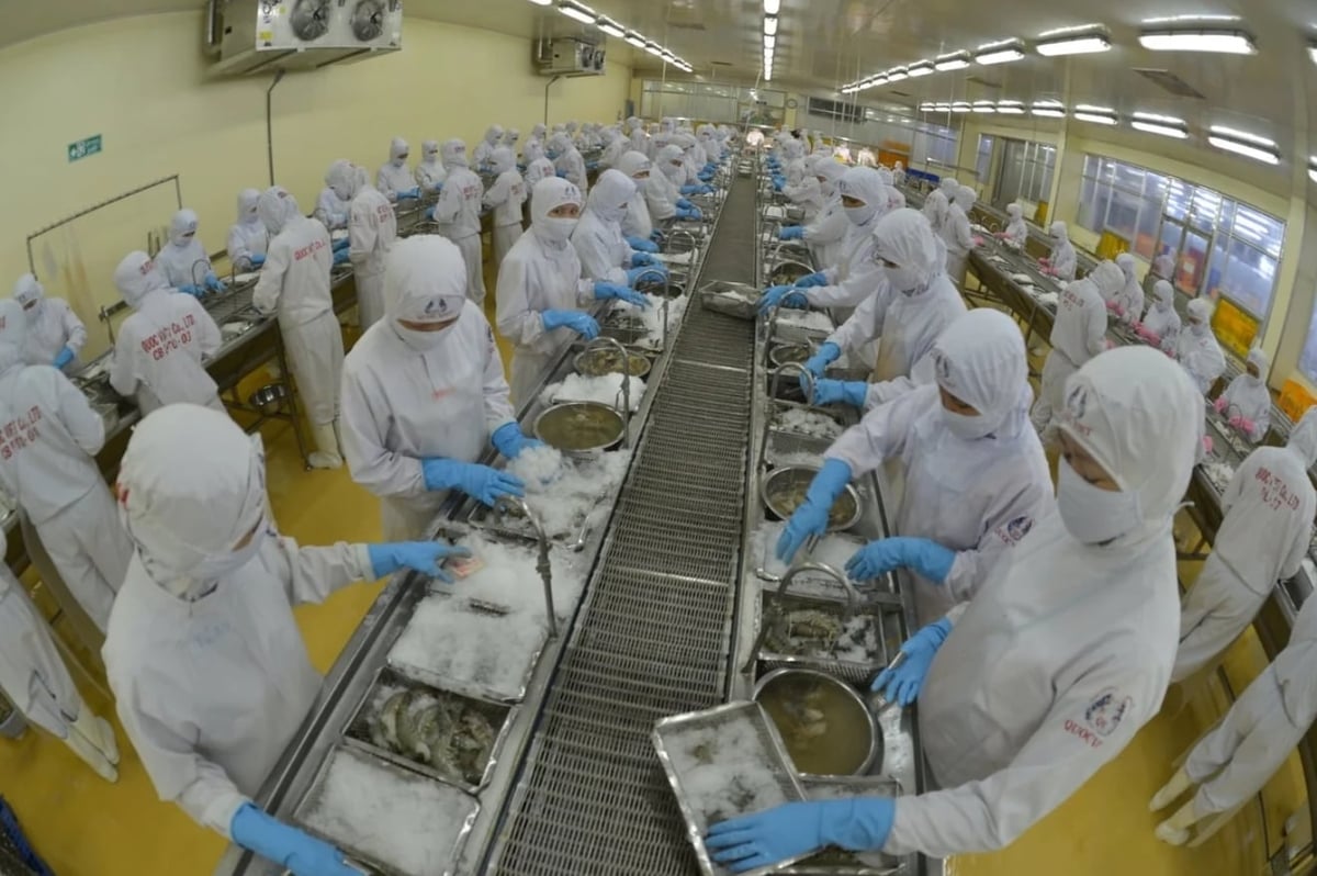 Viet Nam’s seafood export turnover ranged from 8-11 billion USD annually during this period. Photo: Hong Tham. Viet Nam’s seafood export turnover ranged from 8-11 billion USD annually during this period. Photo: Hong Tham.