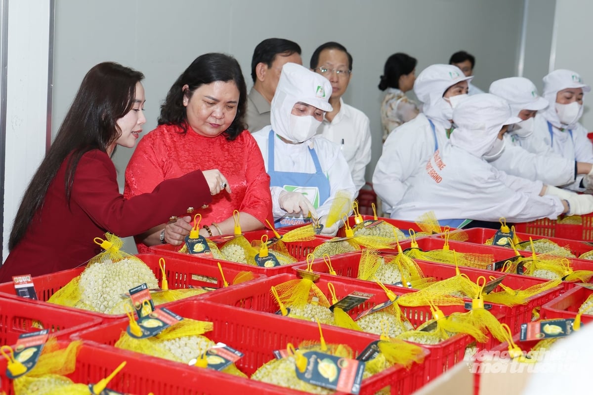 This crisis is forcing each business to reassess its entire operating model. Photo: Viet Huong. This crisis is forcing each business to reassess its entire operating model. Photo: Viet Huong.