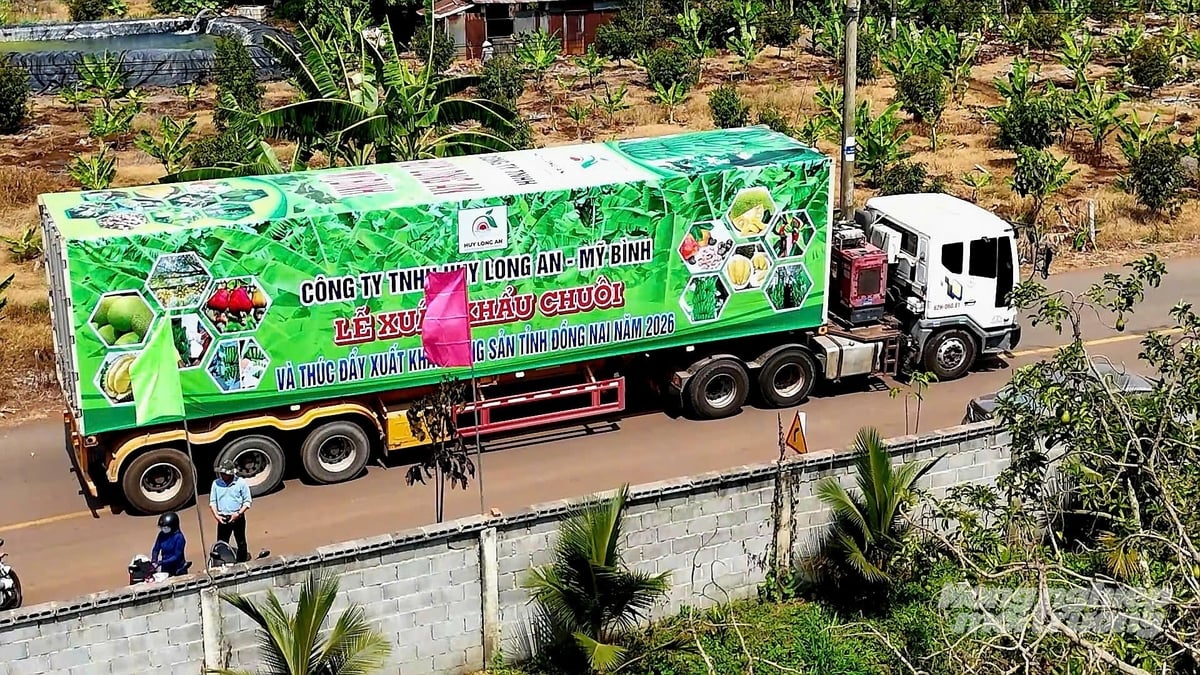 Dong Nai will continue to promote modern agricultural development, apply high technology, expand standardized cultivation areas, and improve product quality to meet the increasingly stringent requirements of international markets. Photo: Minh Sang. Dong Nai will continue to promote modern agricultural development, apply high technology, expand standardized cultivation areas, and improve product quality to meet the increasingly stringent requirements of international markets. Photo: Minh Sang.