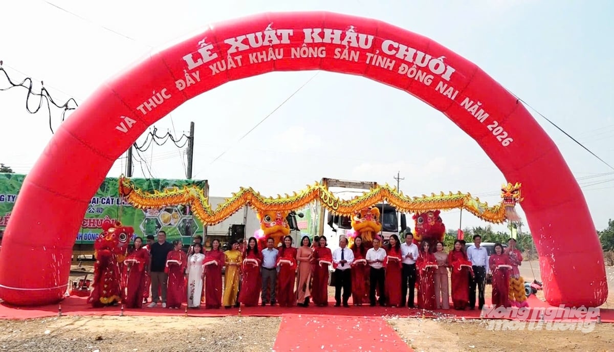Ribbon-cutting ceremony launching banana exports and promoting agricultural exports in Dong Nai Province in 2026. Photo: Minh Sang. Ribbon-cutting ceremony launching banana exports and promoting agricultural exports in Dong Nai Province in 2026. Photo: Minh Sang.