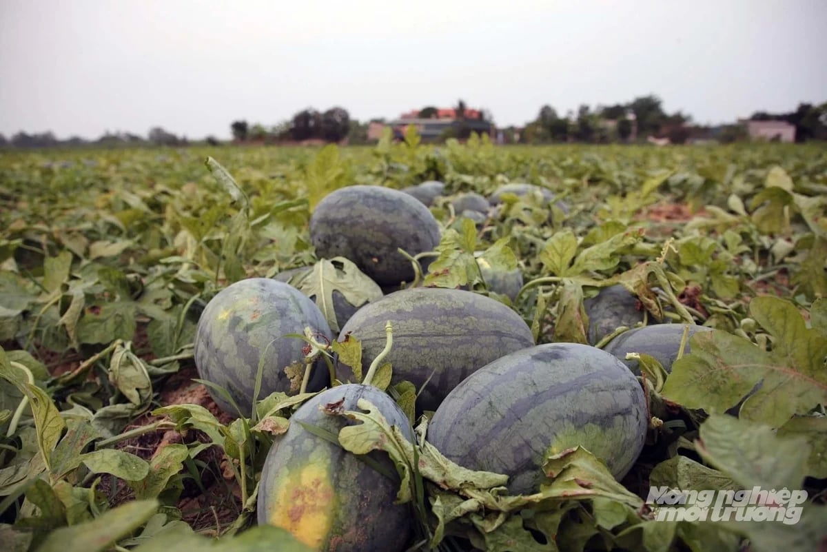 z7739582072077_55d549871a7a279cf970cb02e338e0ff-180428_464-180430-064348-113839_366