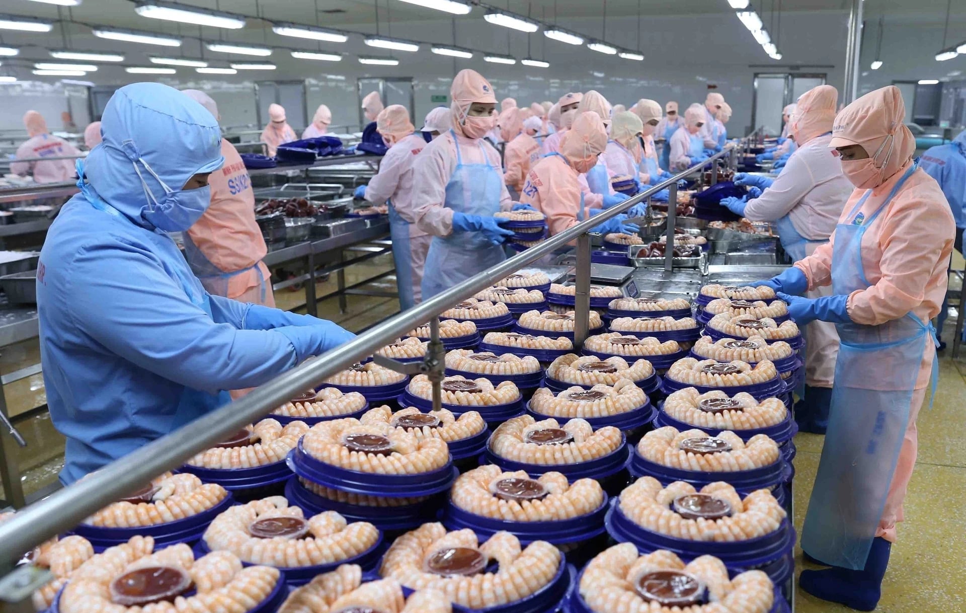 Viet Nam’s seafood sector has the potential to make a strong contribution to the country’s double-digit export growth target in 2026 if urgent bottlenecks are effectively addressed. Photo: Hong Tham.