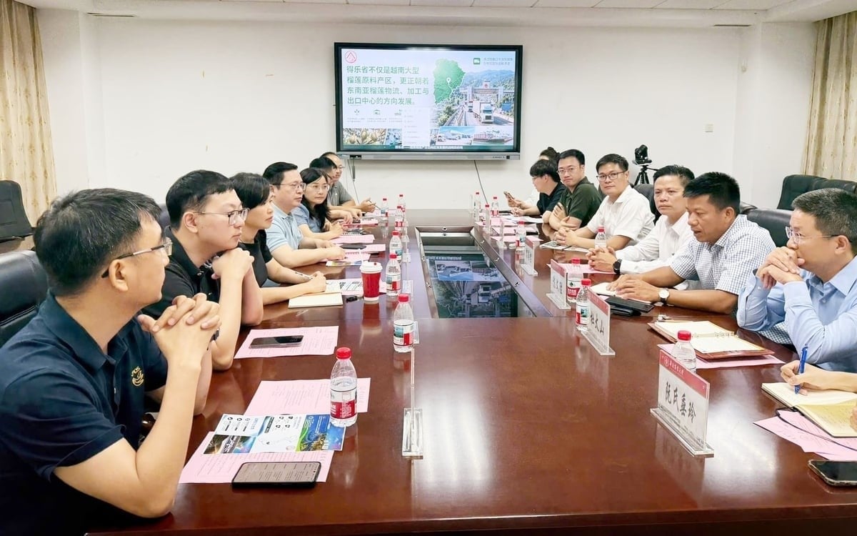 Exchange, survey, and cooperation activities were carried out to introduce and promote Dak Lak durian in Guangdong province, China. Photo: Tran Tho.