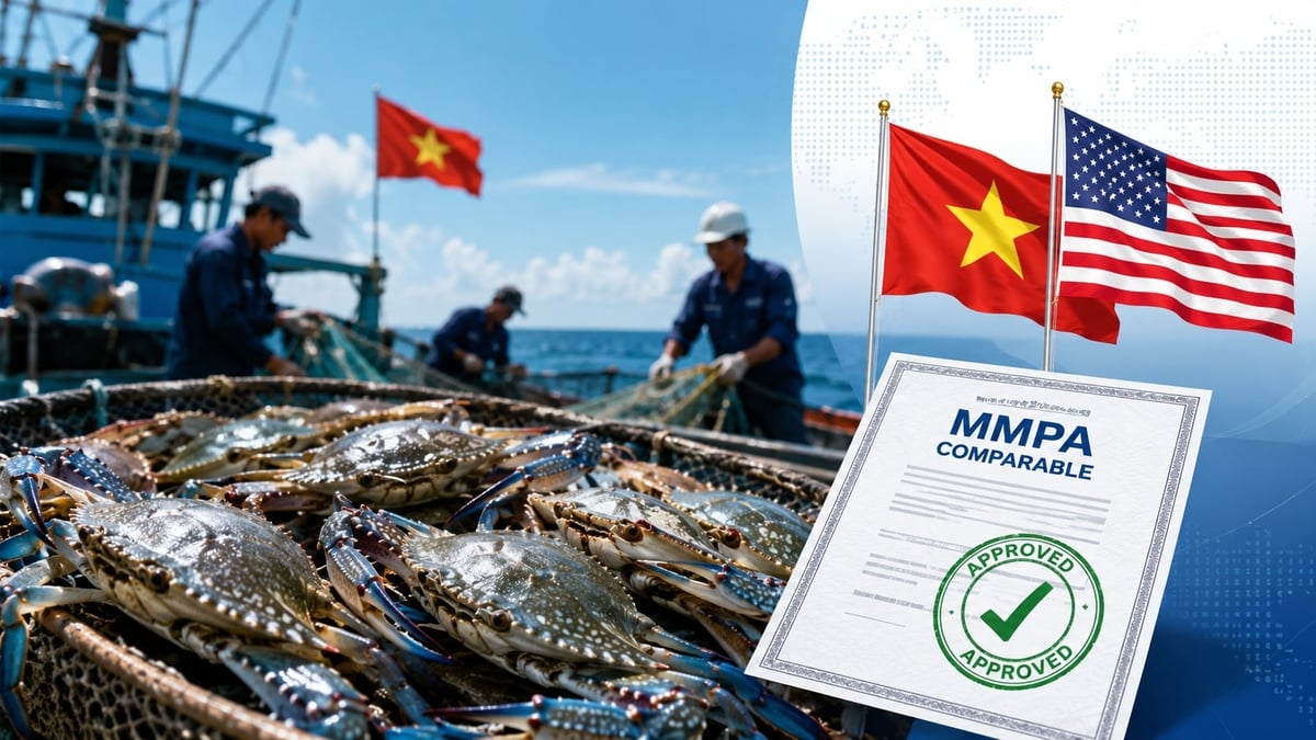 As a result, Vietnamese crab exports to the United States will not require a COA. Photo: VASEP. 