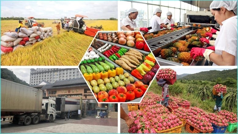 Agro-forestry-fishery exports surpass USD 23 billion in first four months. Photo: VGP.