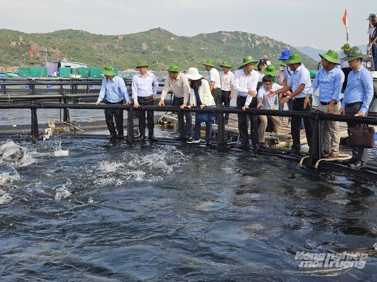 Officials from Vietnam’s Ministry of Agriculture and Environment visit a high-tech marine aquaculture model in Khanh Hoa Province. Photo: Kim So.