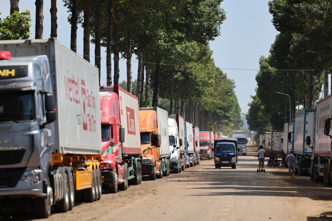 Containers of durian are stuck in the Dau Giay area waiting for testing. Photo: Phuoc Tuan