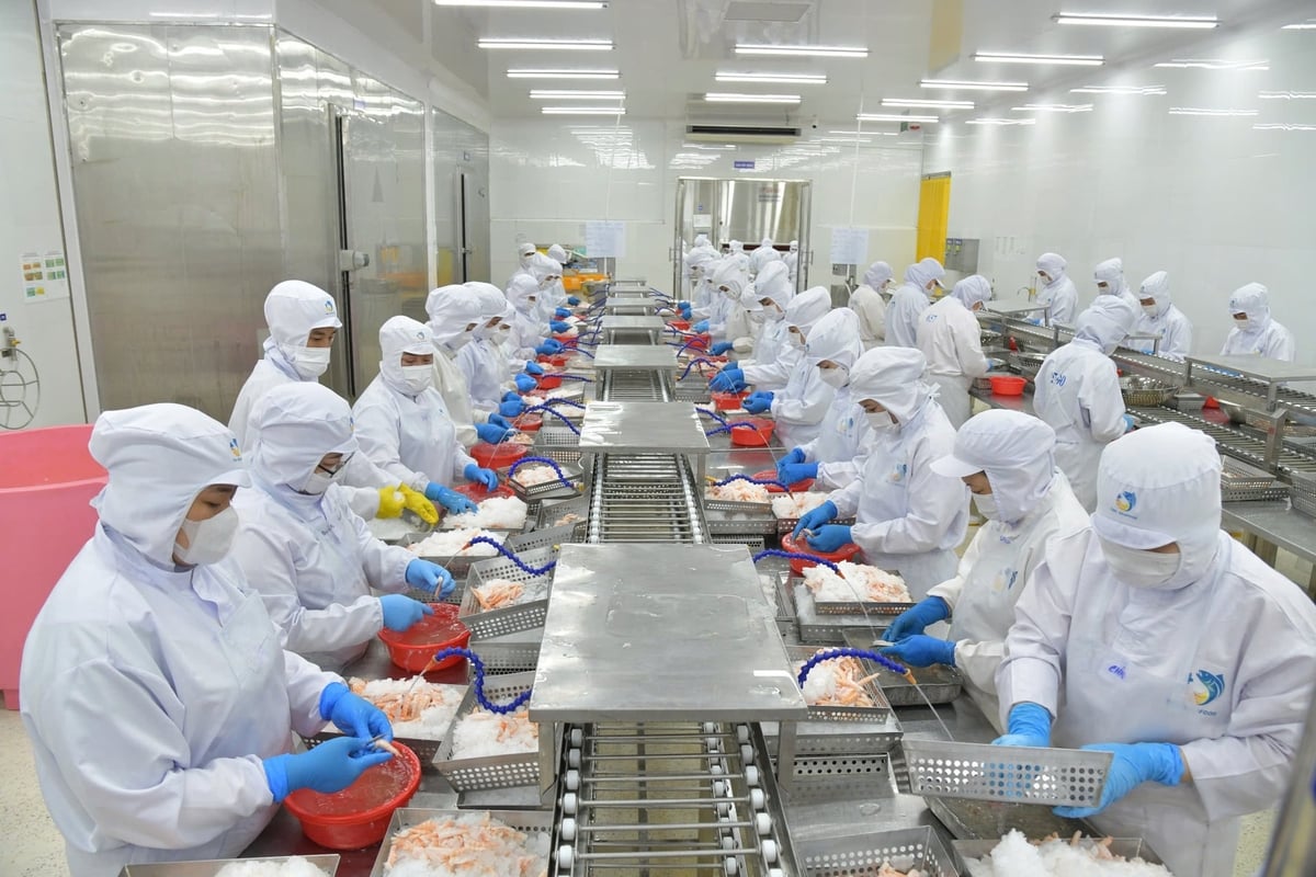 Viet Nam’s seafood exports in the first four months of 2026 reached approximately USD 3.7 billion, up 14-15% compared to the same period last year. Photo: Hong Tham.