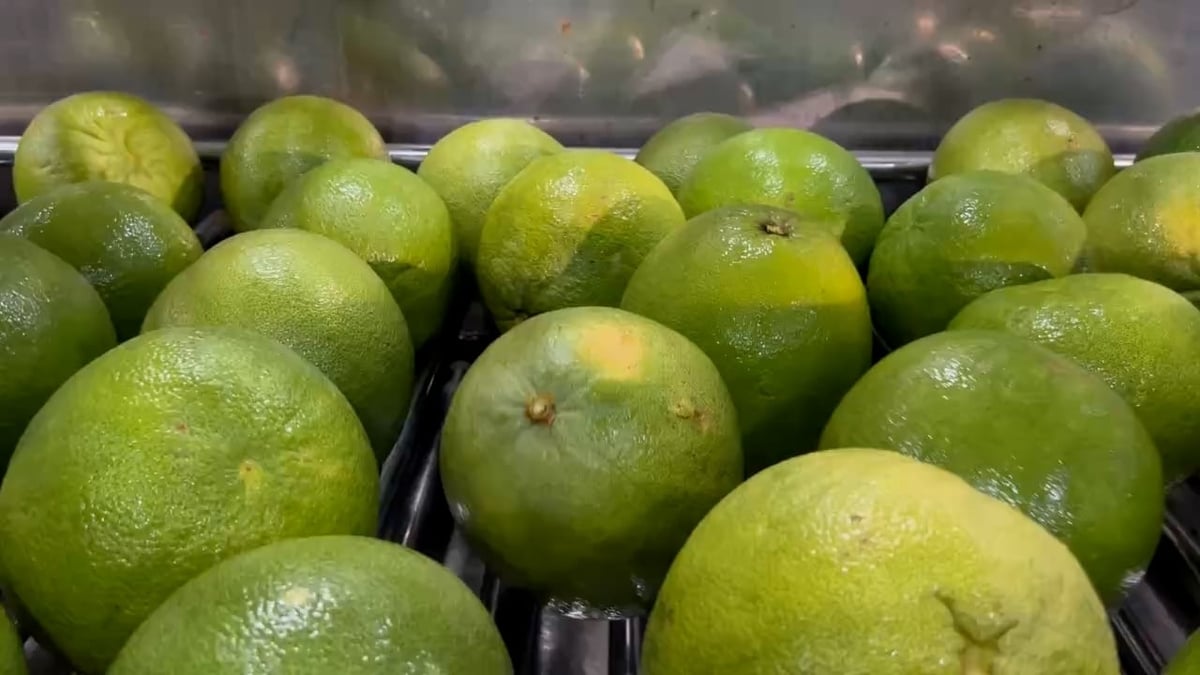 Vietnamese green-skinned pomelo is assessed by many companies as having significant room for growth in the Chinese market. Photo: Ha Linh. Vietnamese green-skinned pomelo is assessed by many companies as having significant room for growth in the Chinese market. Photo: Ha Linh.
