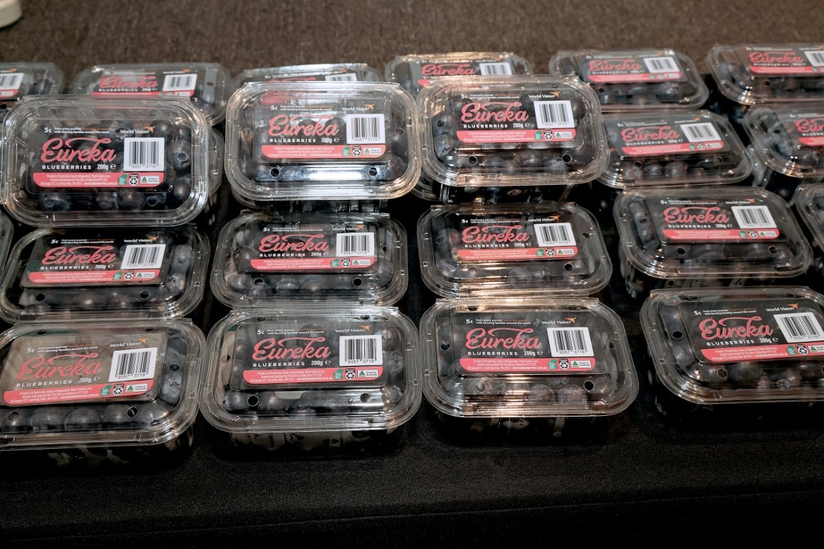 Blueberries are the seventh fruit imported from Australia into Viet Nam, following grapes, oranges, mandarins, cherries, peaches, and nectarines. Photo: Austrade.