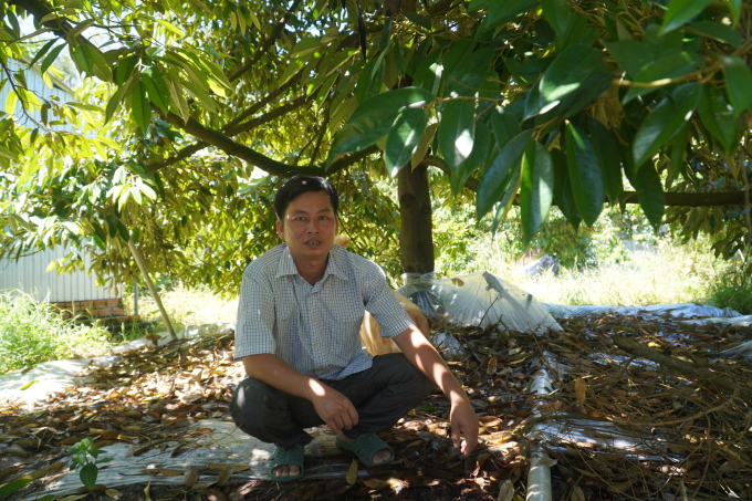 In this case, Mr. Nguyen Thanh Tam lost 180 million VND due to the sharp drop in durian prices. Photo: Ngoc Tai