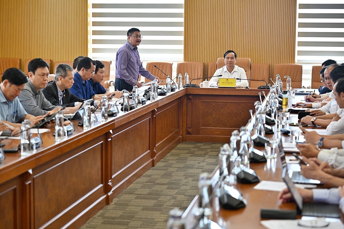 The conference was chaired by Deputy Minister Vo Van Hung. Photo: Bao Thang.