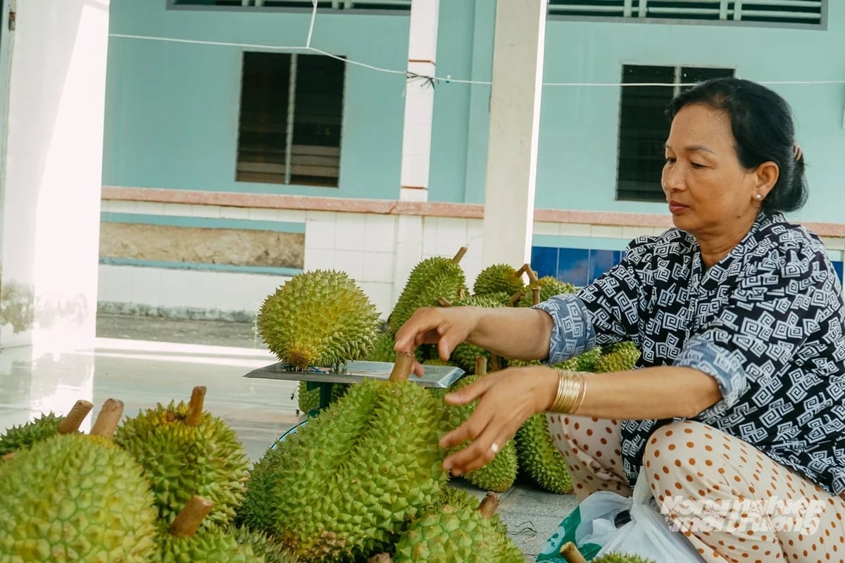 gia-sau-rieng-sut-giam-san-xuat-nho-le-lo-ro-diem-nghen-001510_430-001510-130042-1-144813_64