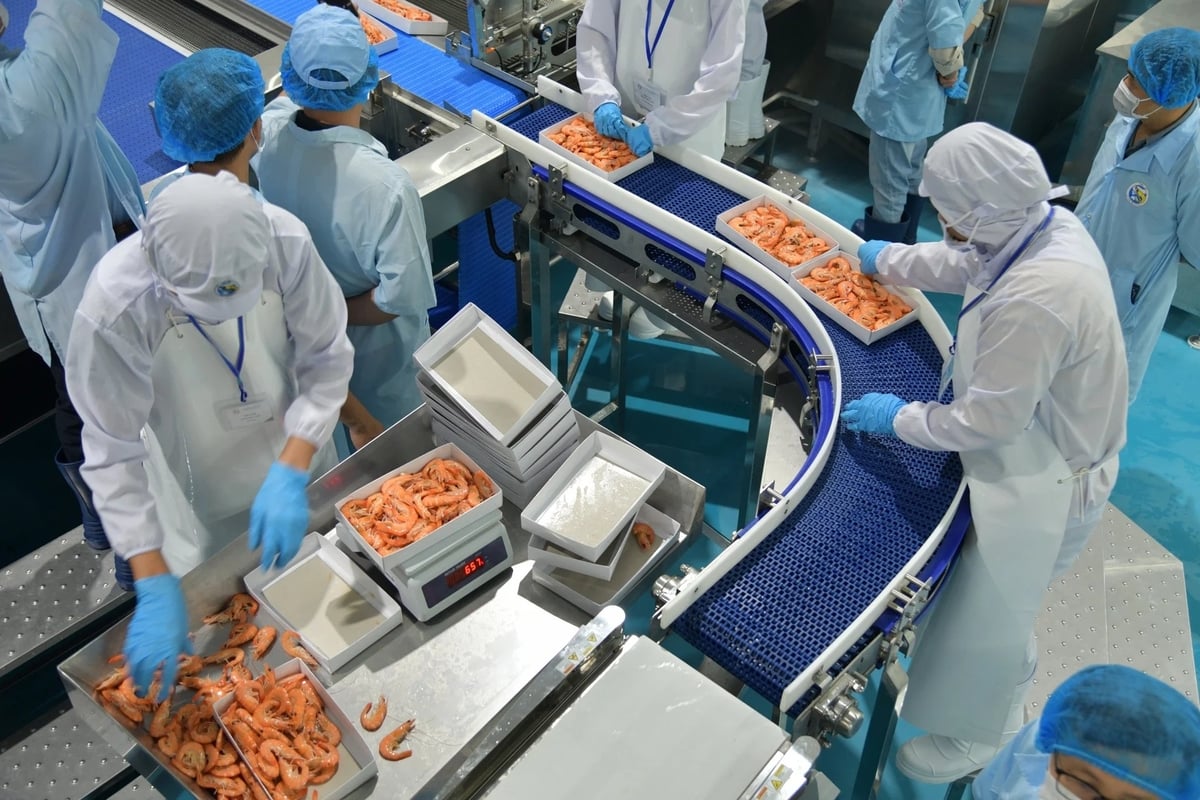 Major Vietnamese enterprises could significantly expand their market share if they invest more heavily in cold chain infrastructure and Halal certification. Photo: Hong Tham. Major Vietnamese enterprises could significantly expand their market share if they invest more heavily in cold chain infrastructure and Halal certification. Photo: Hong Tham.