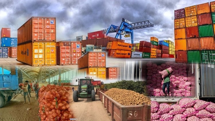 India’s import structure spans a wide range of product groups, including vegetable oils, grains and seeds, spices, fruits, rubber, processed seafood, wood products, and handicrafts. Photo: ICFA.