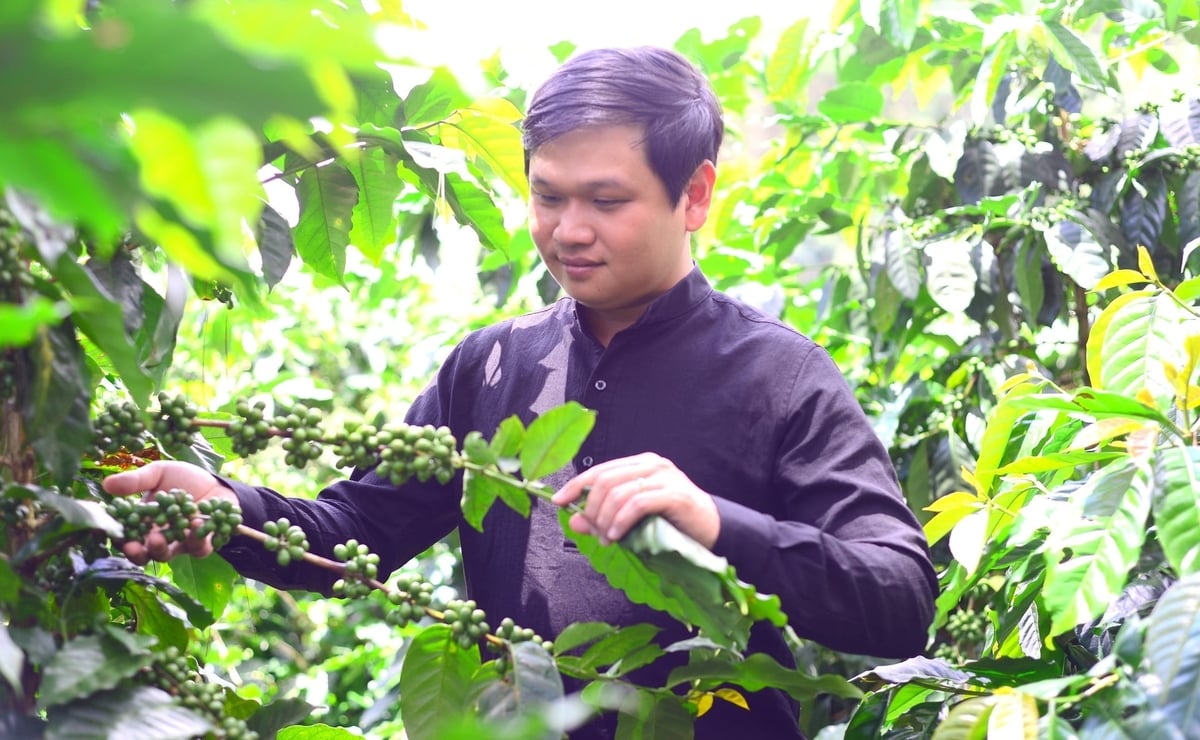 The province currently has more than 107,456 hectares of high-tech agricultural production, accounting for approximately 10% of the total cultivated area, including nearly 1,200 hectares applying smart agriculture models. Photo: KS.