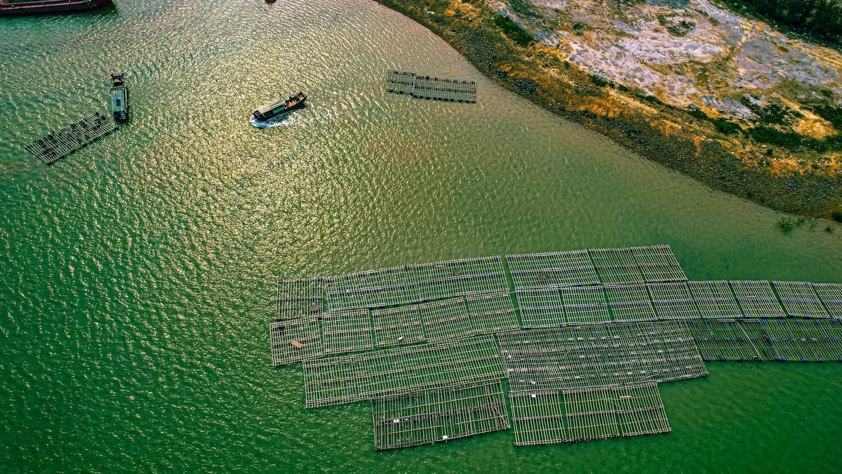 In four months, exports to China and Hong Kong reached over USD 1 billion. Photo: VAN.