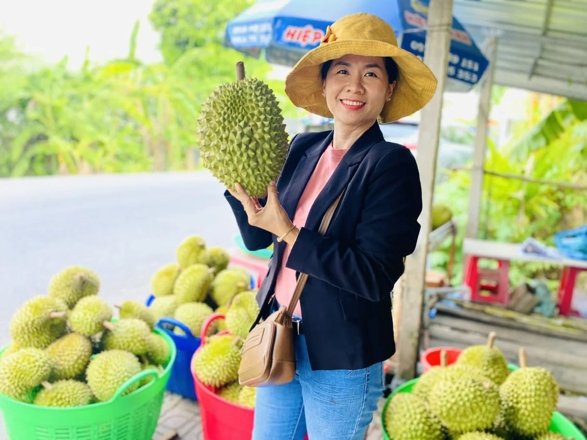 Durian prices have recently recovered strongly. Photo: Le Hoang Vu.