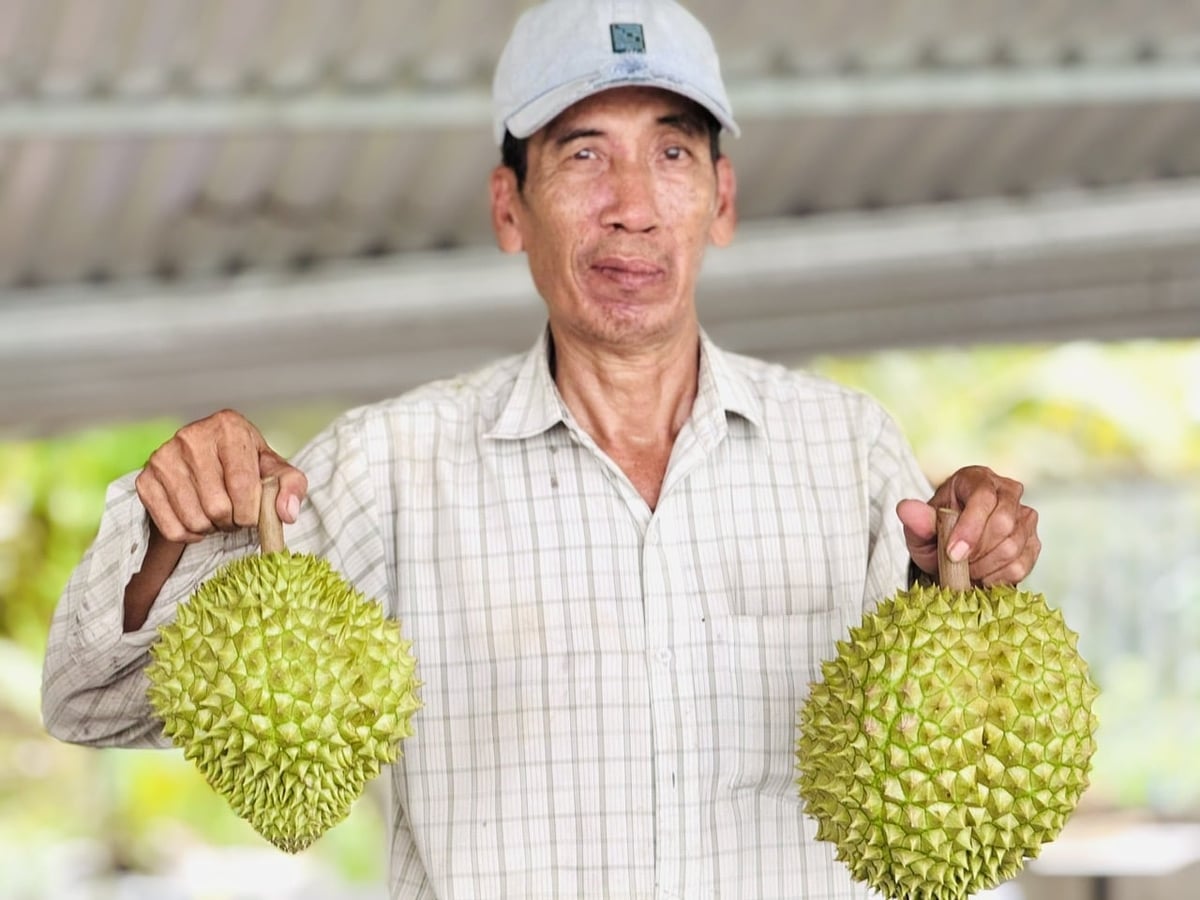 The growing-zone registration code is the 'green card' that allows Vietnamese agricultural produce to enter the world. Photo: Le Hoang Vu.