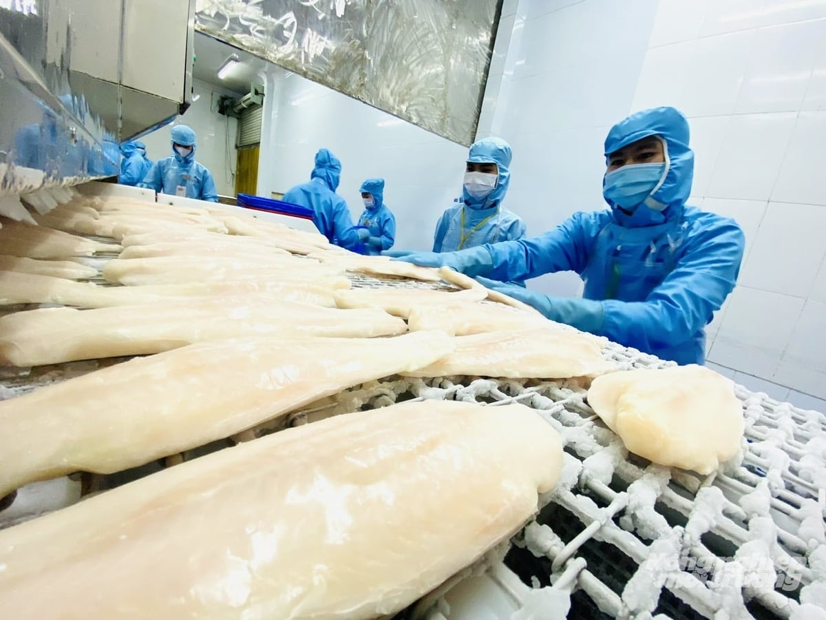 Workers process pangasius fillets at a factory, a key stage that determines product quality and value addition. Photo: Le Hoang Vu.