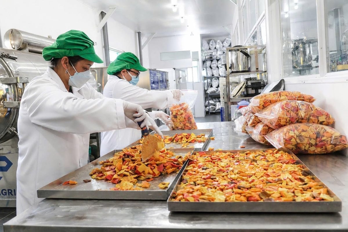 Deep processing and quality control are becoming increasingly important requirements for many agricultural sectors. Photo: Nhat Tien.