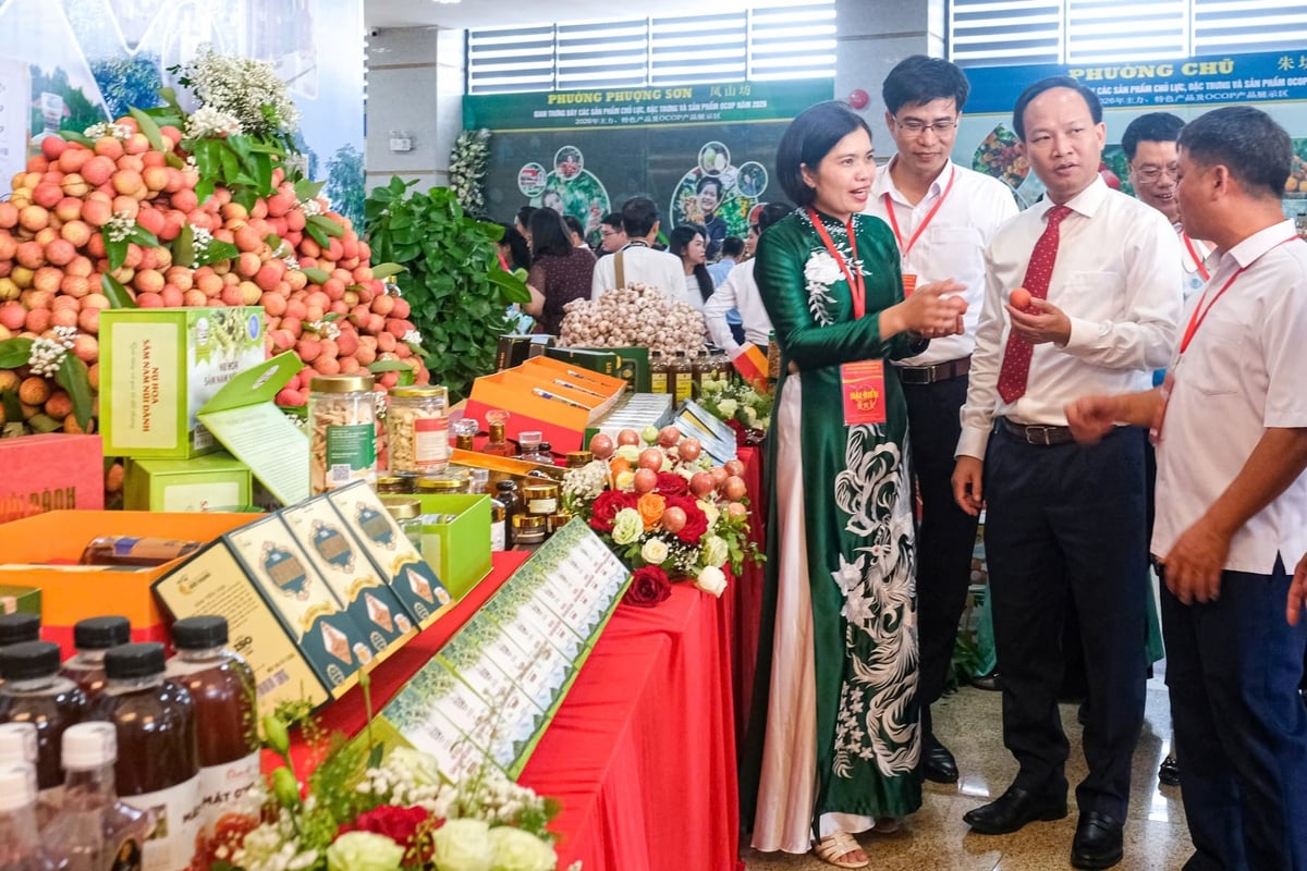 Chinese lychee importing and processing enterprises have expressed strong interest in sourcing even greater volumes from Vietnam. Photo: Bao Ha.