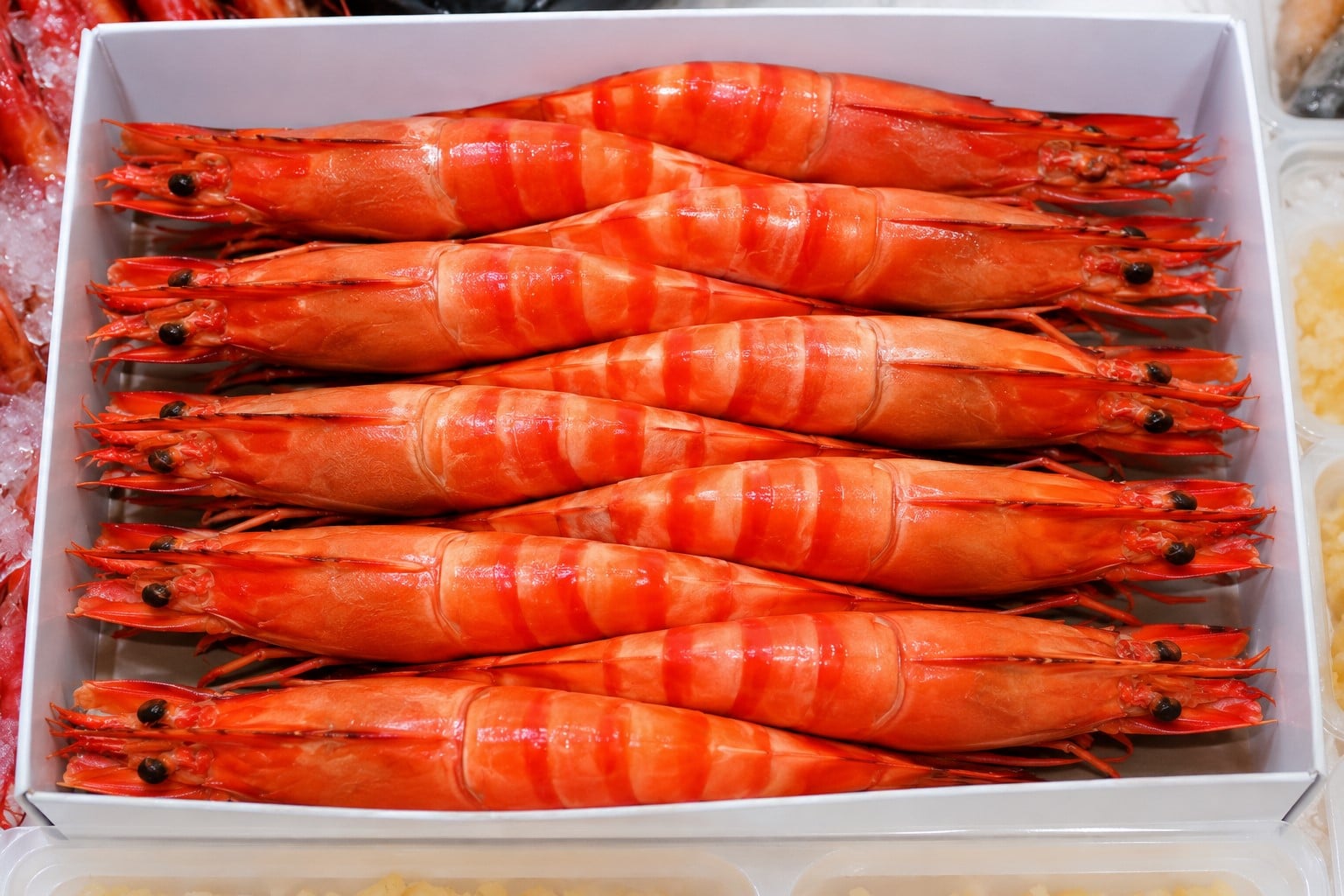 After processing, eco-farmed shrimp displays a distinctive brick-red color and superior meat quality, and ASC certification serves as the passport enabling Vietnamese shrimp to compete in global supply chains. Photo: Trung Chanh. After processing, eco-farmed shrimp displays a distinctive brick-red color and superior meat quality, and ASC certification serves as the passport enabling Vietnamese shrimp to compete in global supply chains. Photo: Trung Chanh.