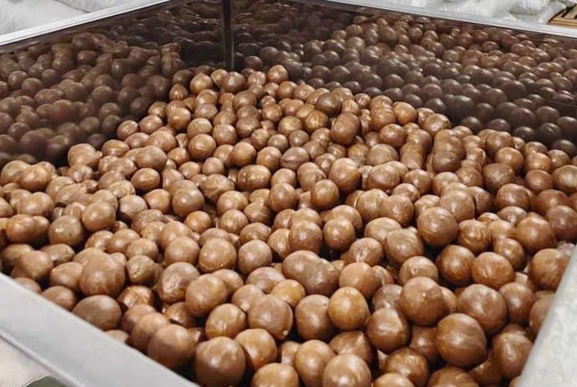 Processed macadamia nuts not only enhance economic value but also open up opportunities for access to international markets. Photo: Hoang Nghia.