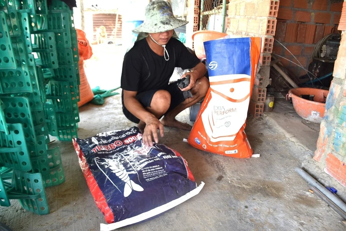Previously, Mr. Duong Thanh Hy used 42% protein feed (left), but now he uses 36% protein feed (right) to reduce input costs. Photo: V.D.T. Previously, Mr. Duong Thanh Hy used 42% protein feed (left), but now he uses 36% protein feed (right) to reduce input costs. Photo: V.D.T.
