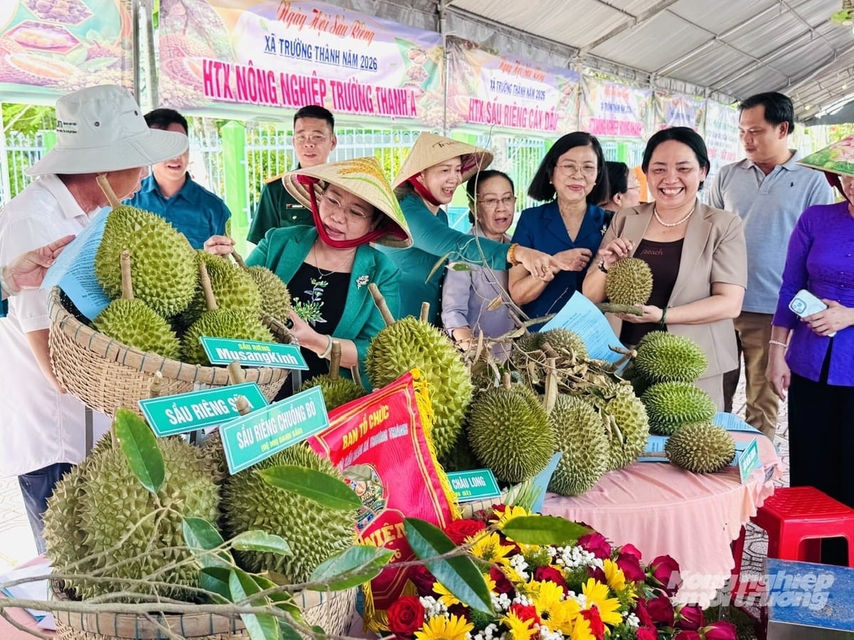 Local leaders, delegates, and residents tour the specialty durian variety display at the 2026 Truong Thanh Durian Festival, contributing to brand promotion and product consumption networking. Photo: Le Hoang Vu.