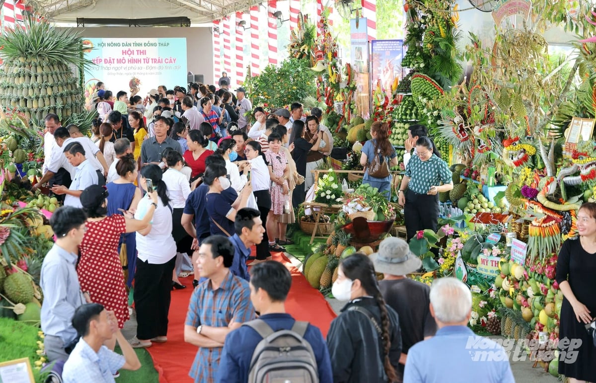Visitors explore the fruit value chain exhibition featuring 35 specialty fruit varieties from Dong Thap. Photo: Le Hoang Vu. Visitors explore the fruit value chain exhibition featuring 35 specialty fruit varieties from Dong Thap. Photo: Le Hoang Vu.