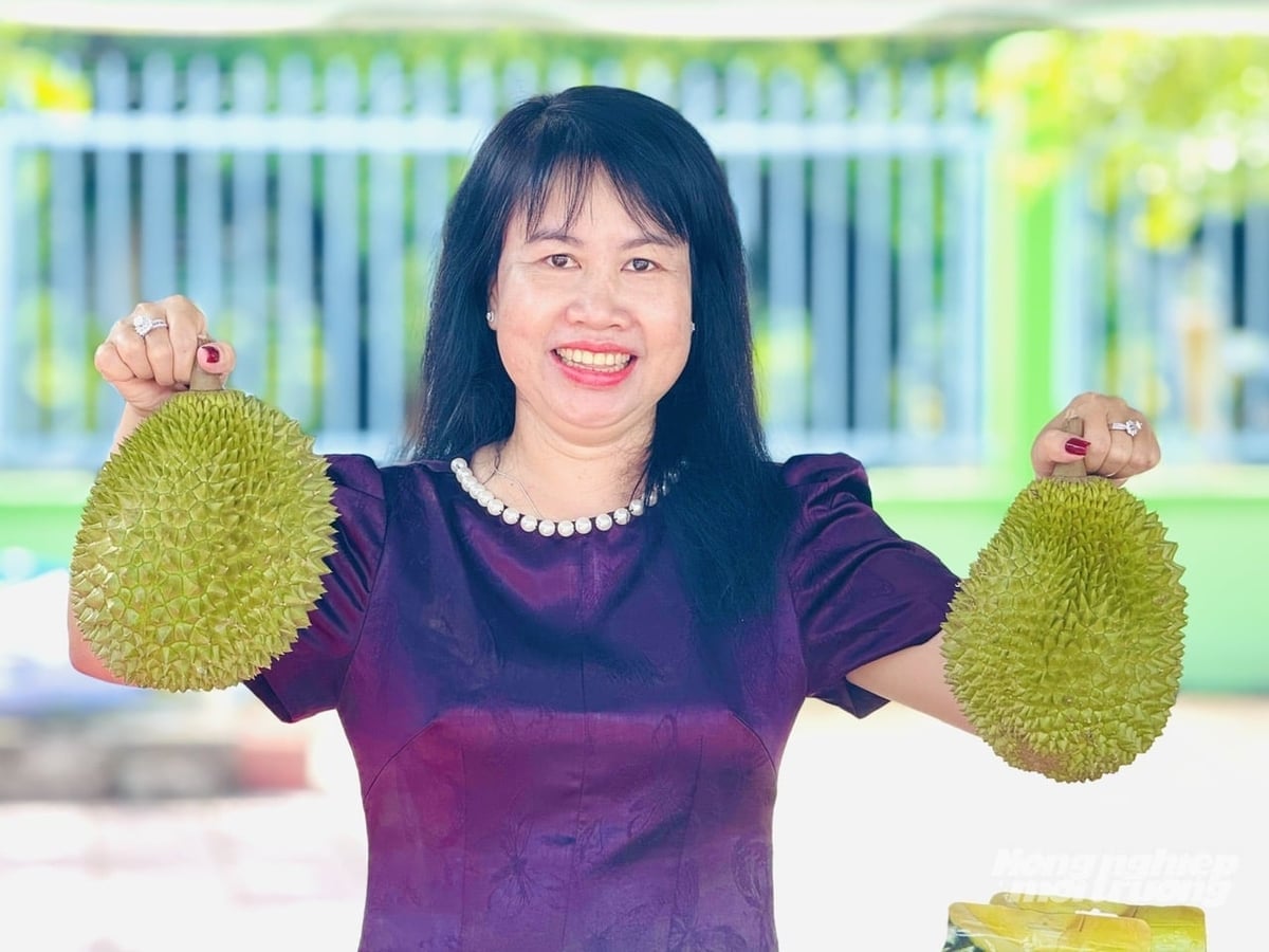 Truong Thanh durian varieties selected and introduced at the festival to promote product quality, build the growing zone brand, and expand export market access opportunities. Photo: Le Hoang Vu.