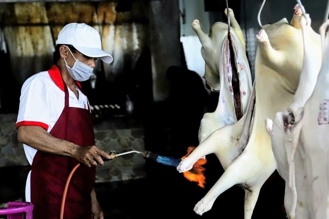 Khanh Hoa Province is implementing biosecure goat and sheep farming practices in line with international Halal standards. Photo: Phuong Chi.