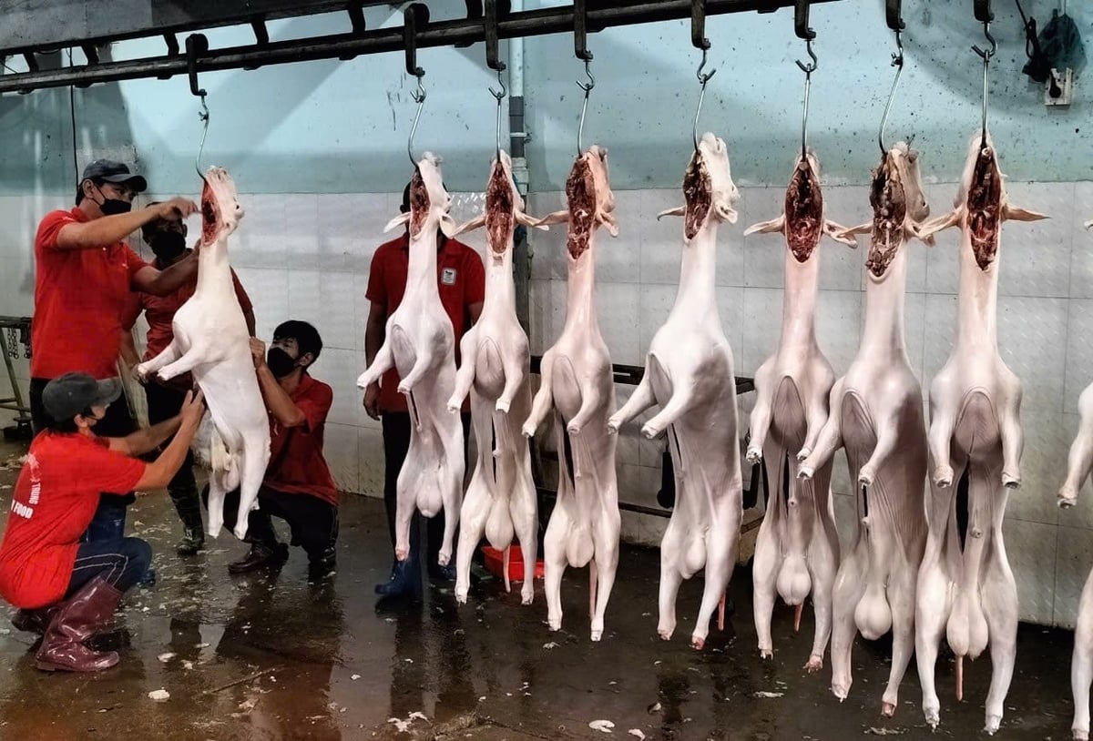 The goat and sheep slaughtering facility of Nhat Thanh Food Co., Ltd.. Photo: Phuong Chi.
