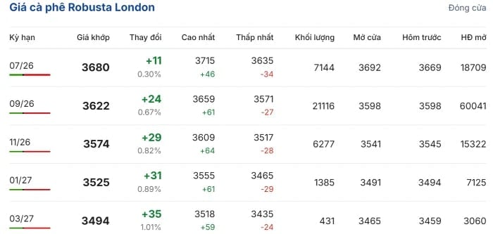 Robusta coffee prices on the London exchange. (Source: giacaphe.com) Robusta coffee prices on the London exchange. (Source: giacaphe.com)