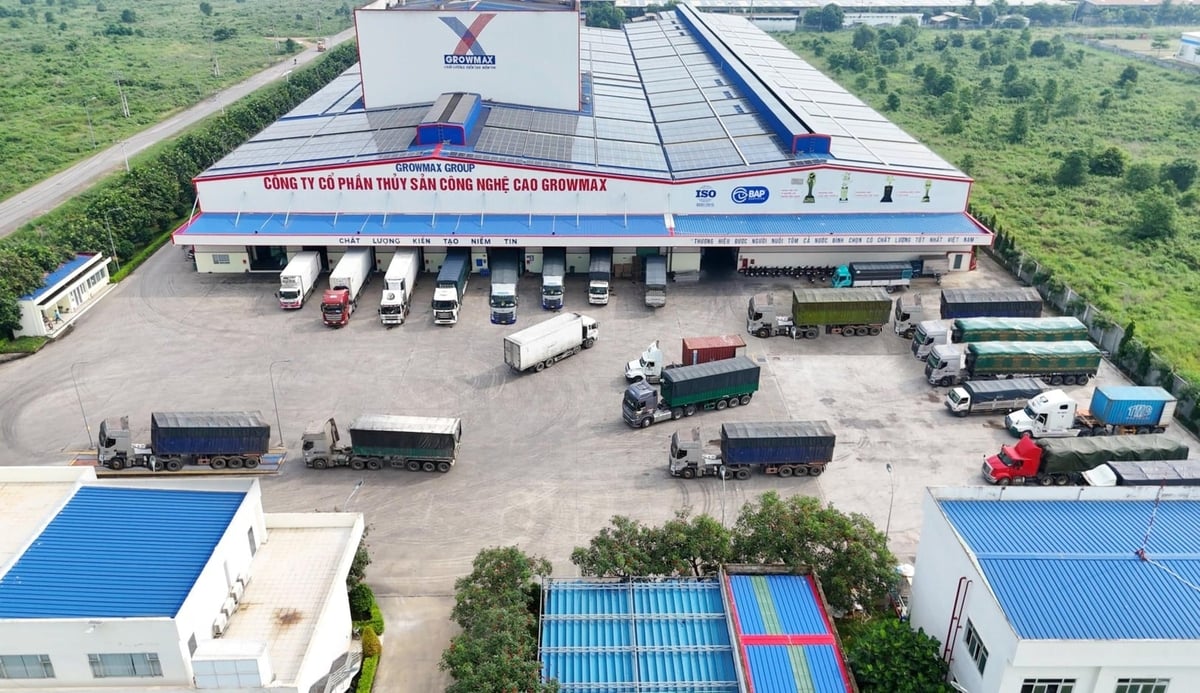GrowMax is currently the only Vietnamese-owned shrimp feed brand on the market, developing a comprehensive closed-loop ecosystem model. Photo: PN.
