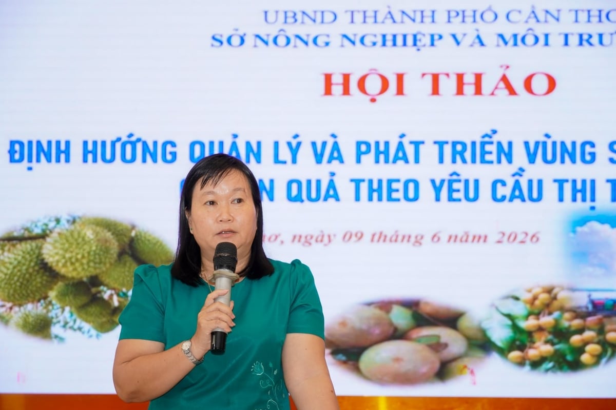 Pham Thi Minh Hieu, Director of the Can Tho Plant Production and Protection Sub-Department, addresses questions related to the fruit sector’s activities. Photo: Kim Anh.