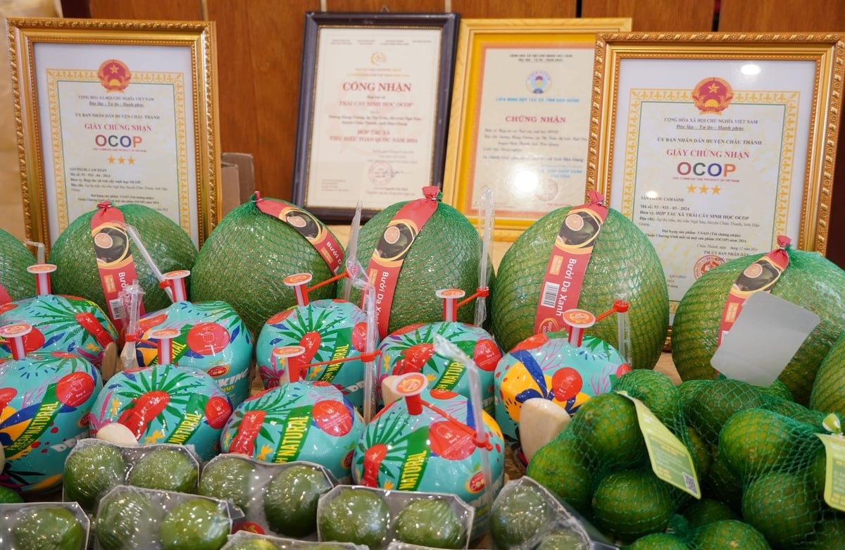 Can Tho’s fruit products hold strong export potential. Photo: Kim Anh.