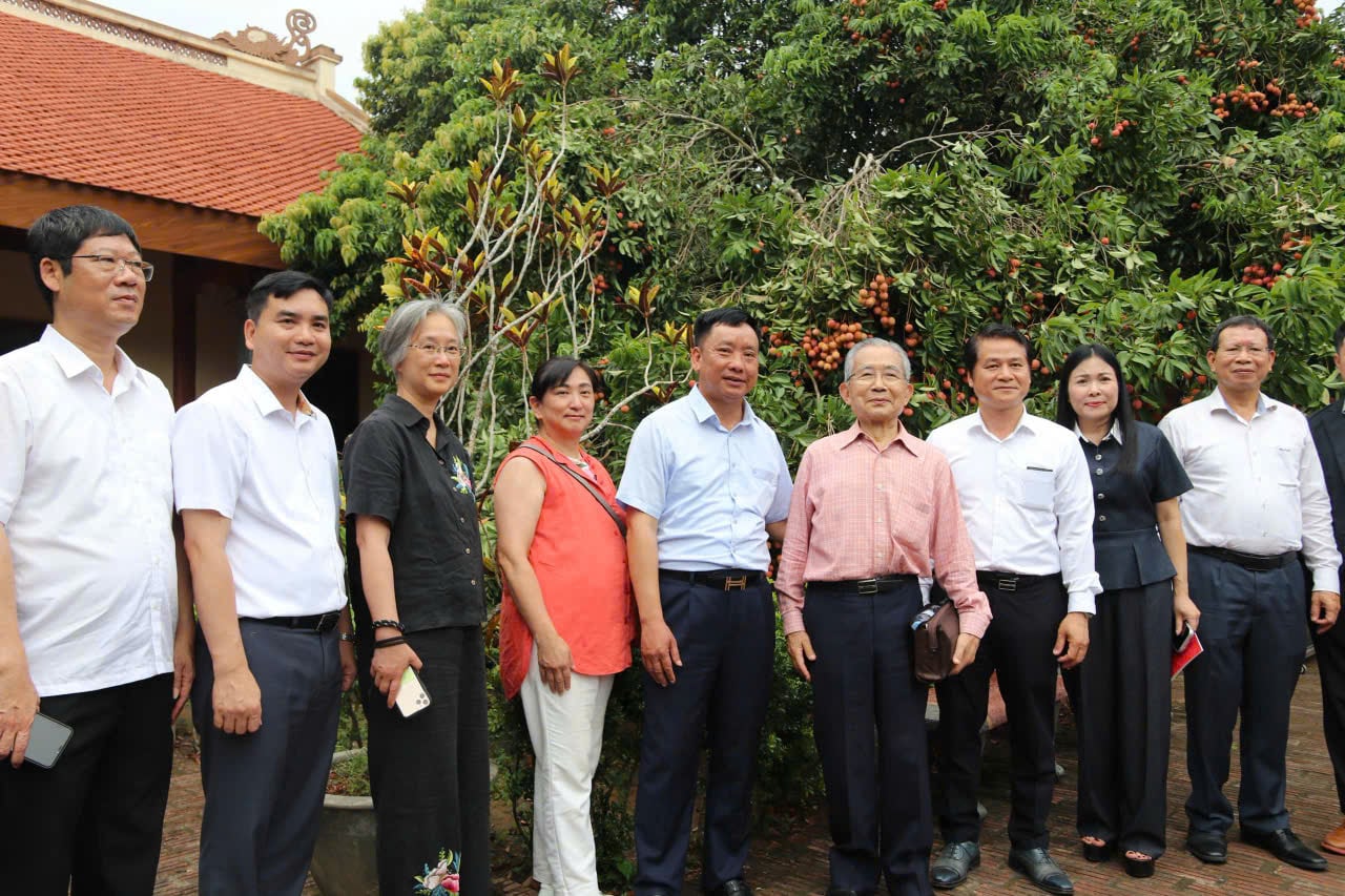Hai Phong City People's Committee leaders accompany a Japanese delegation on a visit to the ancestor lychee tree. Photo: Dinh Muoi.