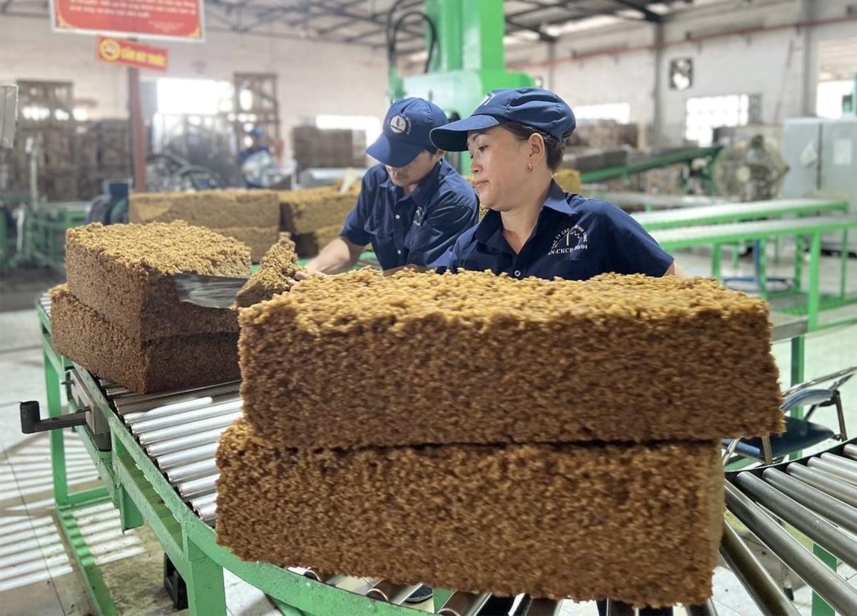 Rubber processing at VRG's factory. Photo: Son Trang. Rubber processing at VRG's factory. Photo: Son Trang.