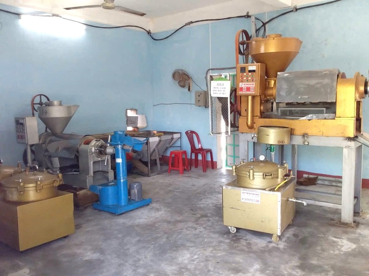 The automated peanut oil processing line at Thuong Giang Agricultural Cooperative in Binh Khe commune, Gia Lai. Photo: V.D.T.