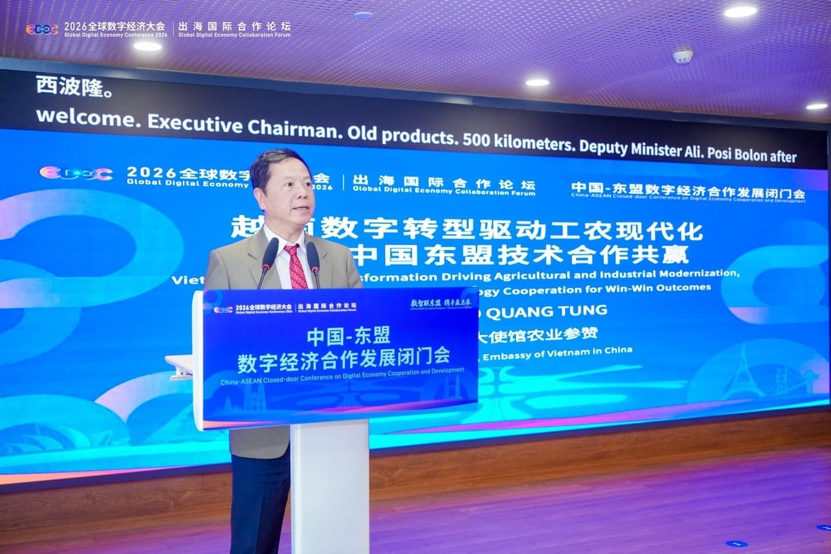 Mr. Do Quang Tung will assume the position of Agricultural Counselor in China in April 2026. Photo: VAN.