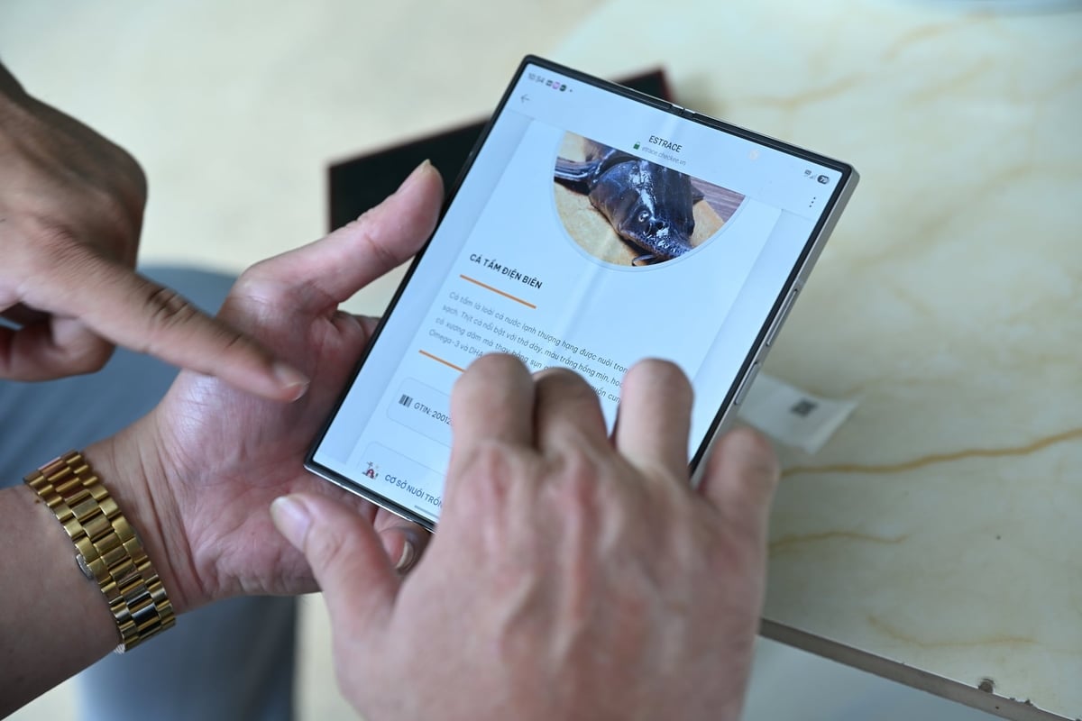 Consumers can easily access information about the origin, farming process, and product source of Muong Phang sturgeon through QR-based traceability systems. Photo: Mai Dung.